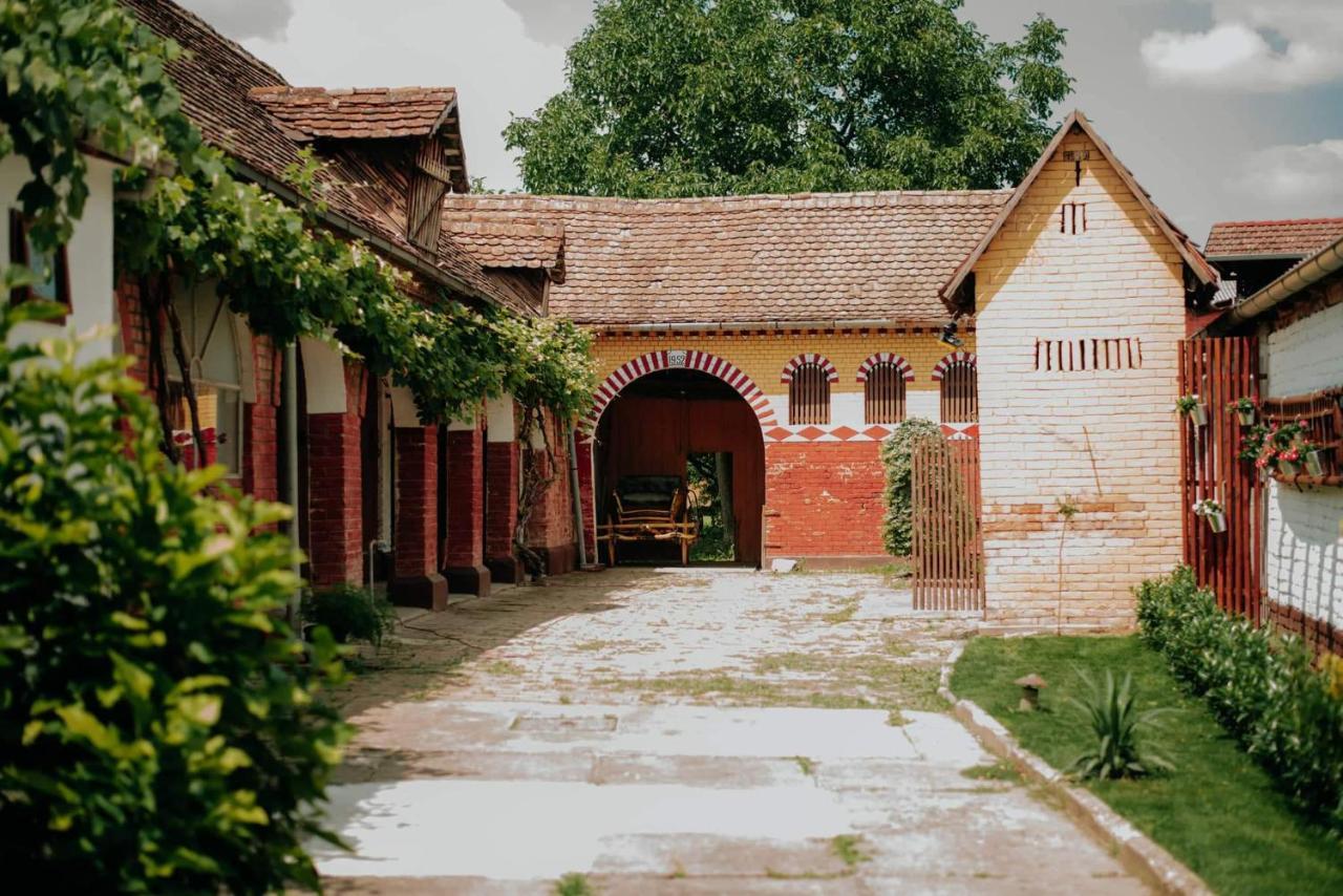 Kuca Za Odmor "Sokacka Lady" Villa Zupanja Buitenkant foto